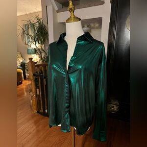 Anthropologie Shine button-up blouse in Holly- size Small NWT